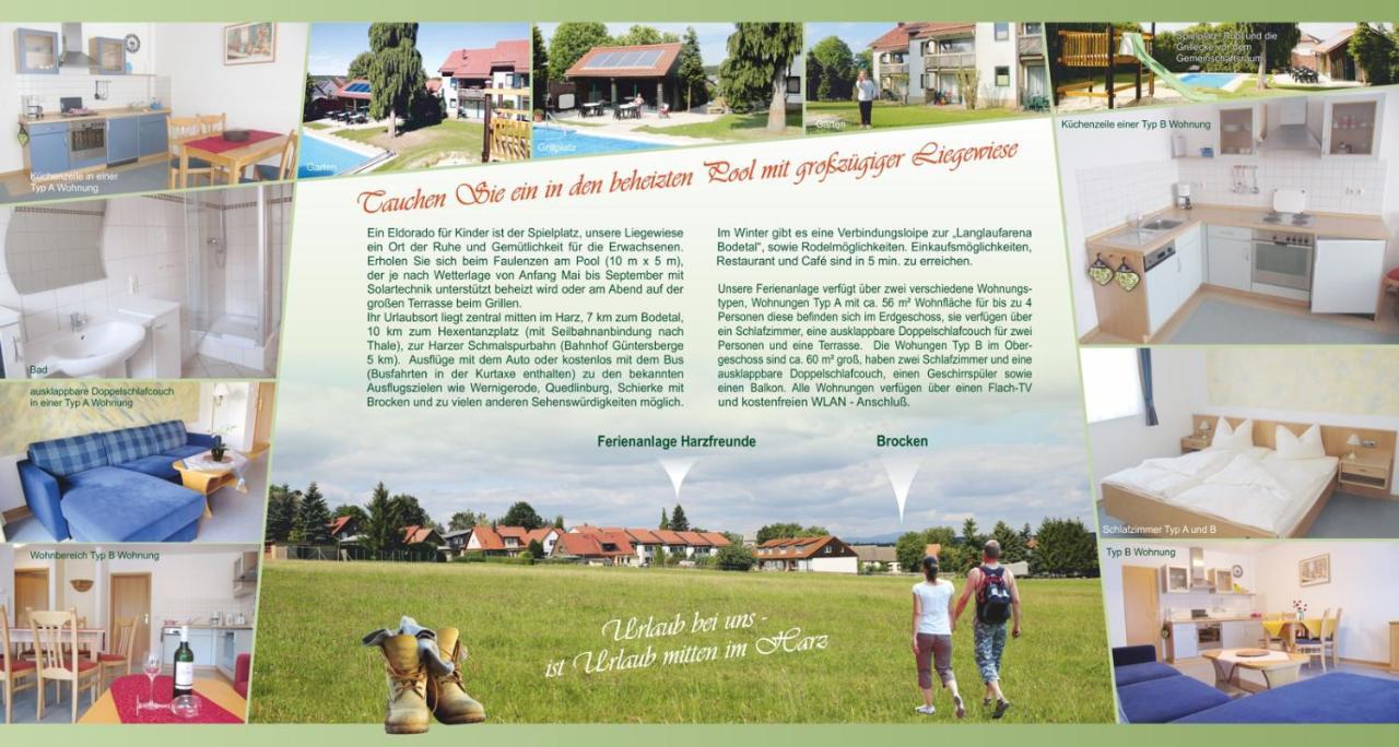 Ferienanlage Harzfreunde ألروده المظهر الخارجي الصورة